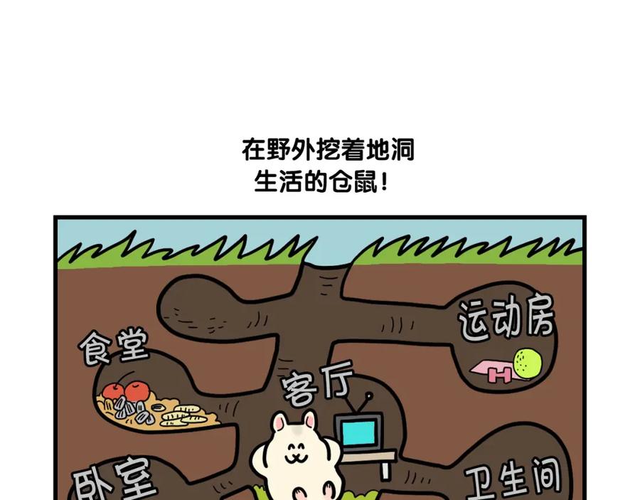 《我的狗子叫棉花》番外3 好奇心 第5页