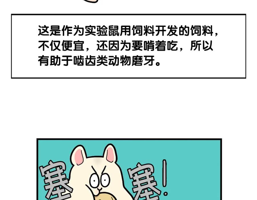 《我的狗子叫棉花》番外3 好奇心 第32页