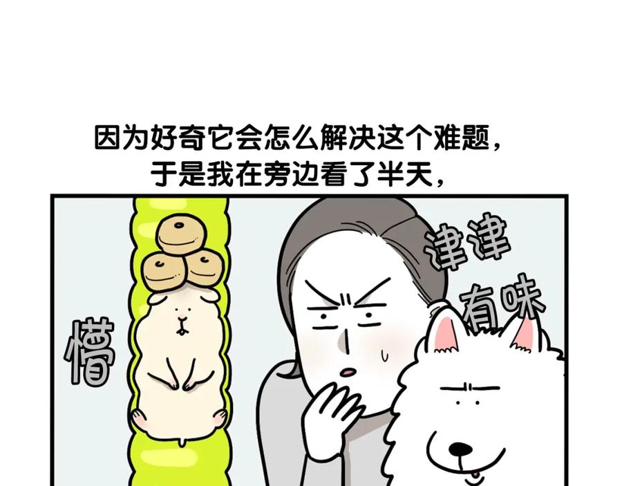 《我的狗子叫棉花》番外3 好奇心 第45页