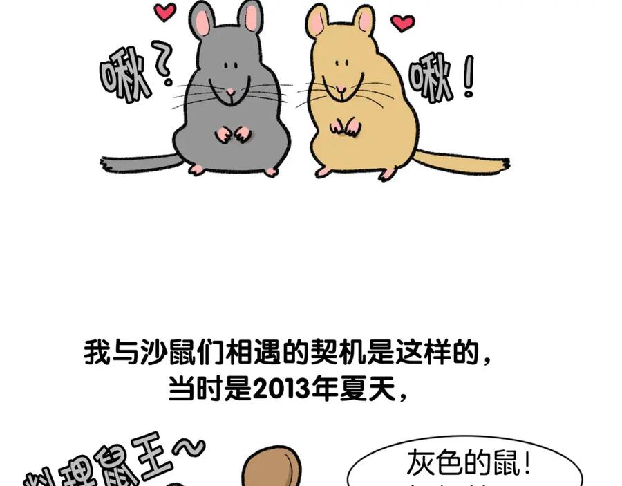 《我的狗子叫棉花》番外4 是我大意了 第6页