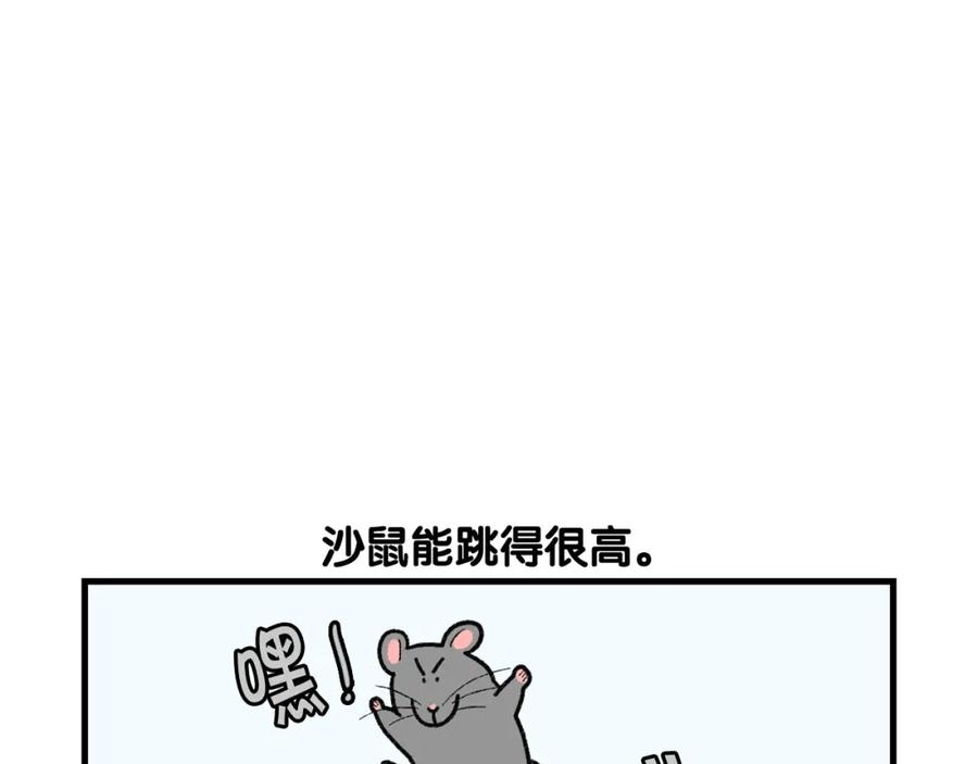 《我的狗子叫棉花》番外4 是我大意了 第54页