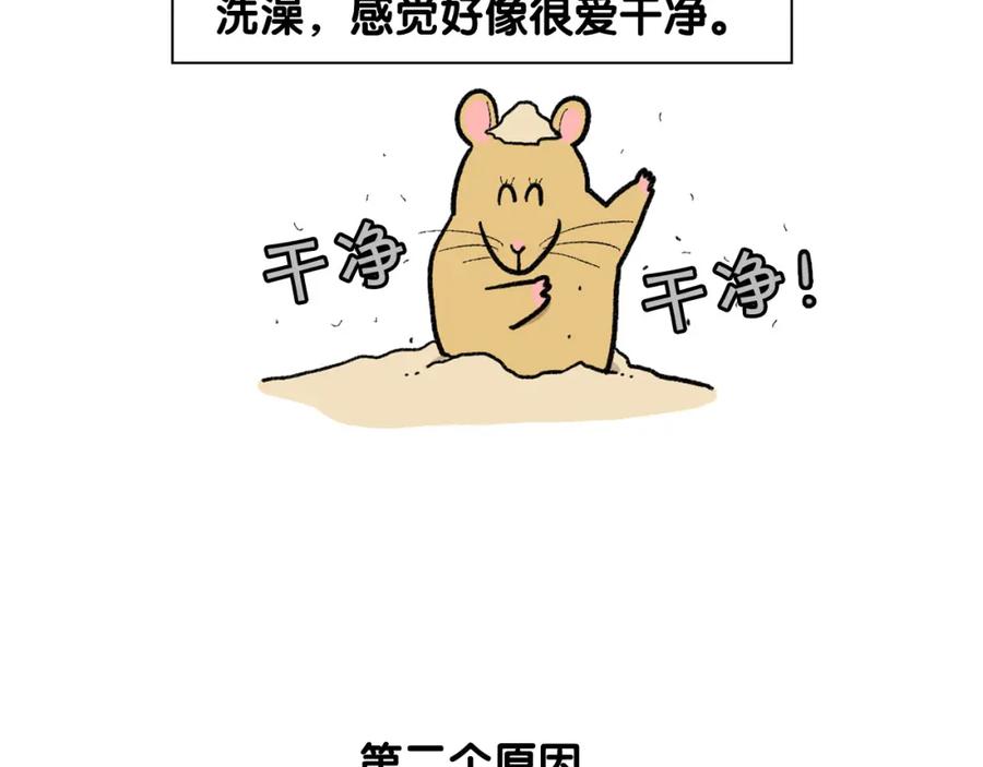 《我的狗子叫棉花》番外4 是我大意了 第27页