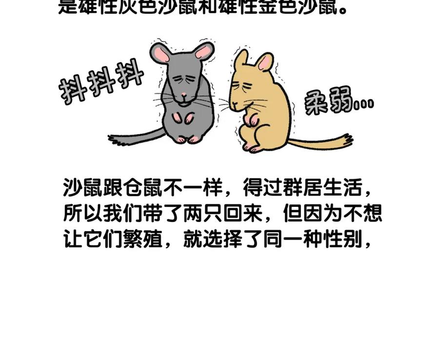 《我的狗子叫棉花》番外4 是我大意了 第21页