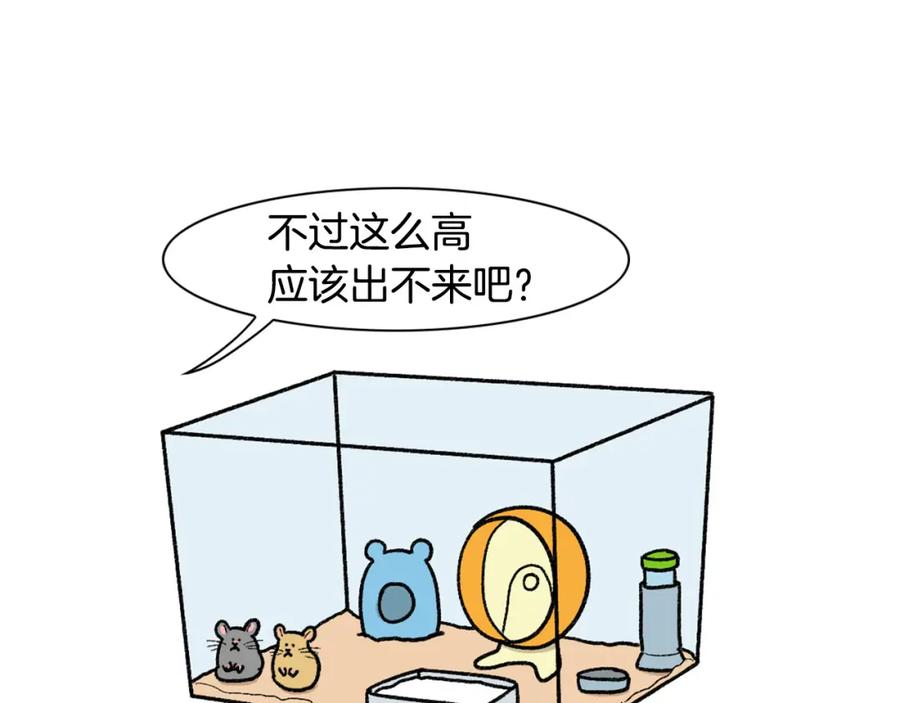 《我的狗子叫棉花》番外4 是我大意了 第56页
