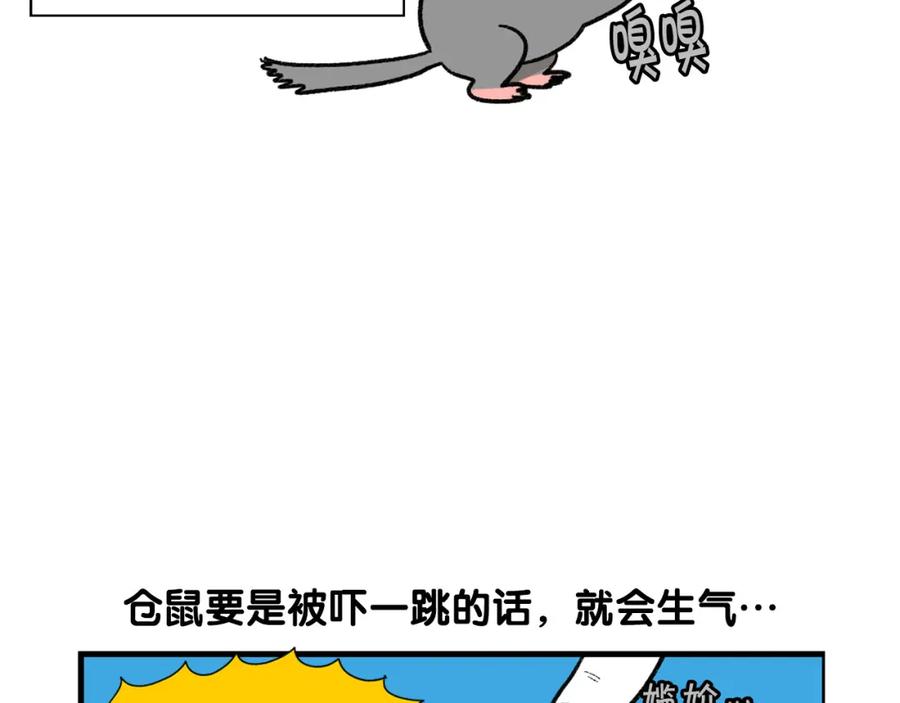 《我的狗子叫棉花》番外4 是我大意了 第29页