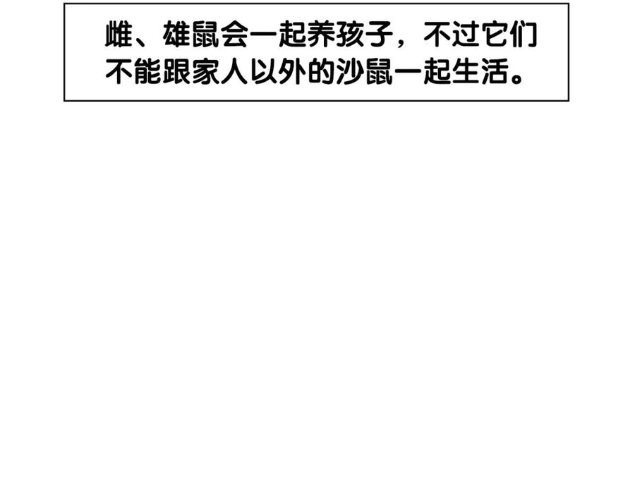 《我的狗子叫棉花》番外4 是我大意了 第33页