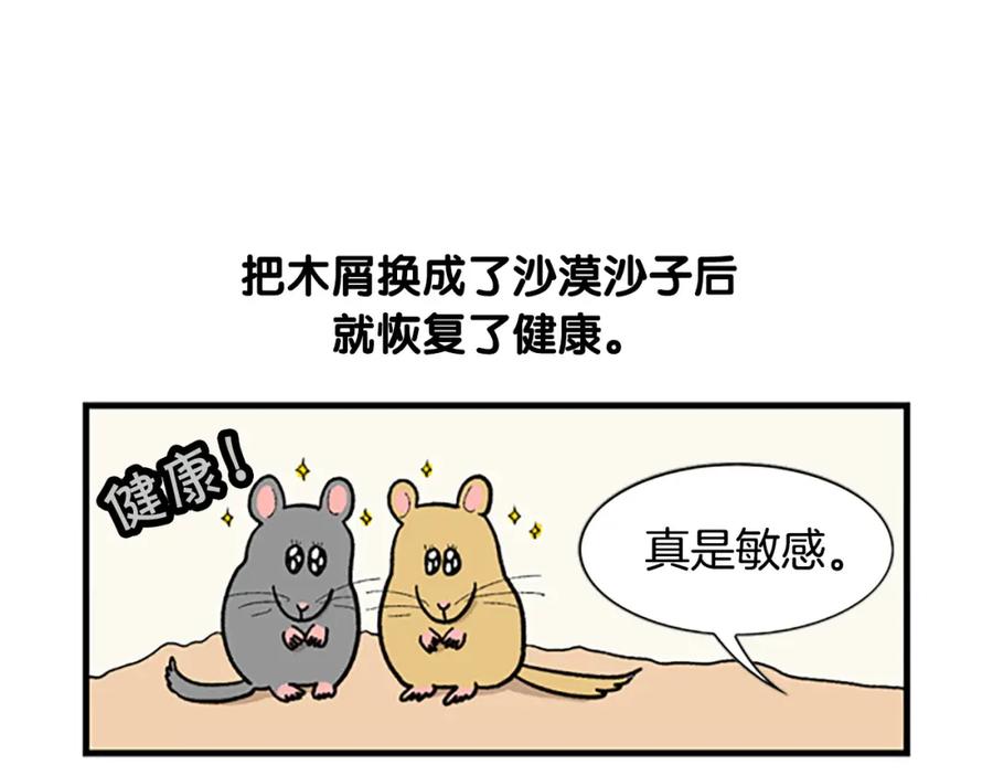 《我的狗子叫棉花》番外4 是我大意了 第45页