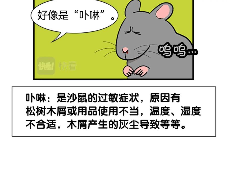 《我的狗子叫棉花》番外4 是我大意了 第41页