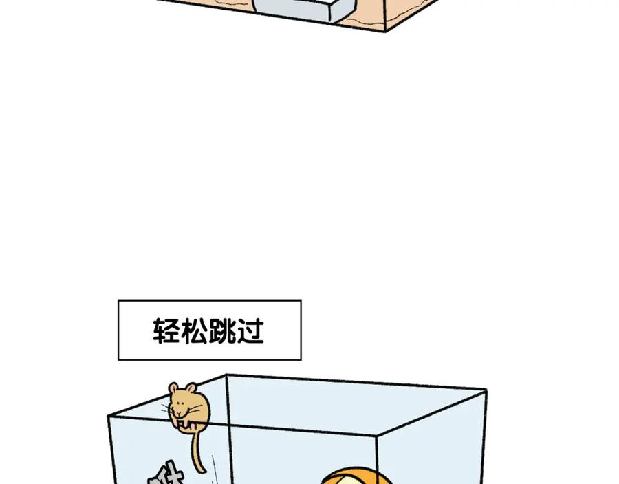 《我的狗子叫棉花》番外4 是我大意了 第57页