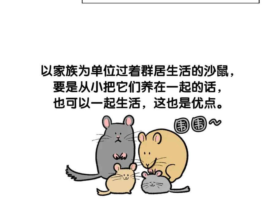 《我的狗子叫棉花》番外4 是我大意了 第32页