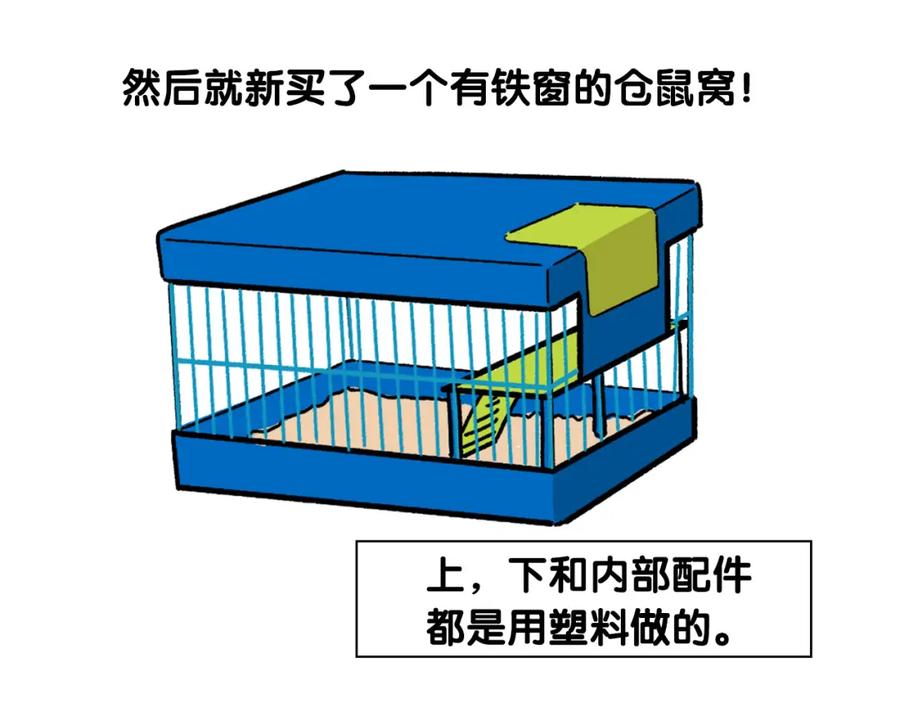 《我的狗子叫棉花》番外4 是我大意了 第62页