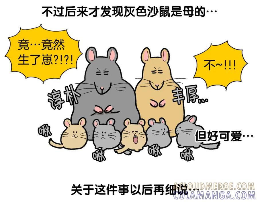 《我的狗子叫棉花》番外4 是我大意了 第22页