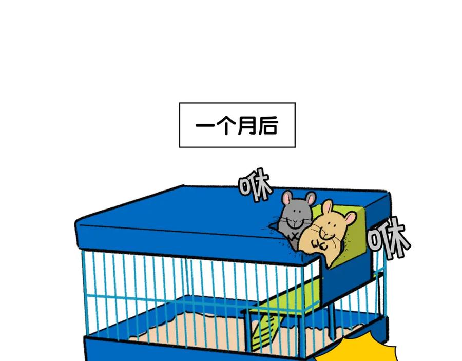 《我的狗子叫棉花》番外4 是我大意了 第63页