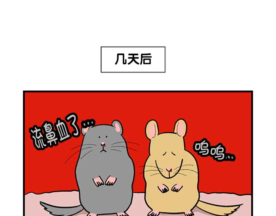 《我的狗子叫棉花》番外4 是我大意了 第39页