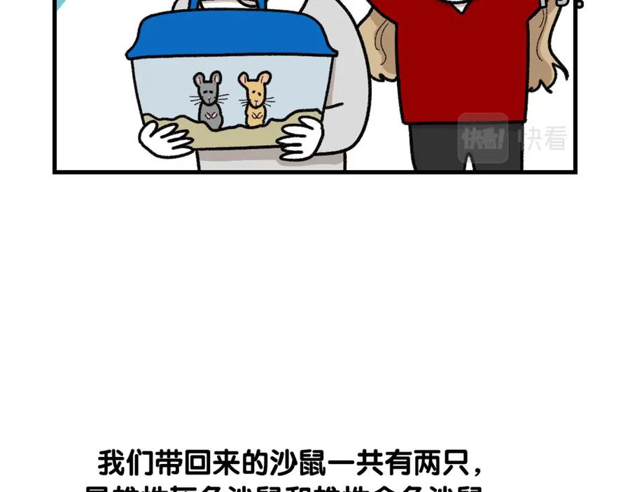 《我的狗子叫棉花》番外4 是我大意了 第20页