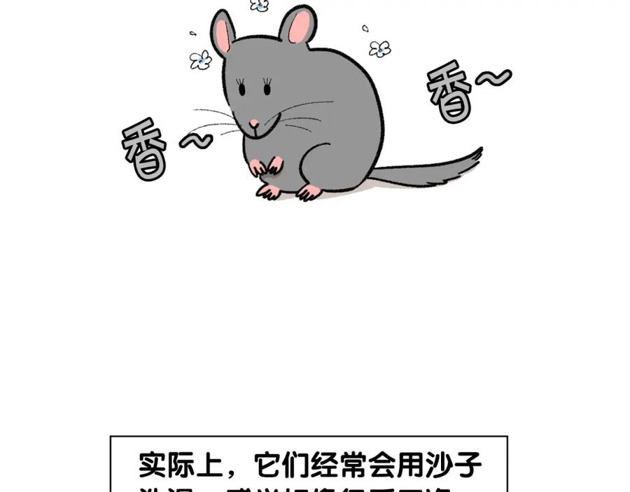 《我的狗子叫棉花》番外4 是我大意了 第26页