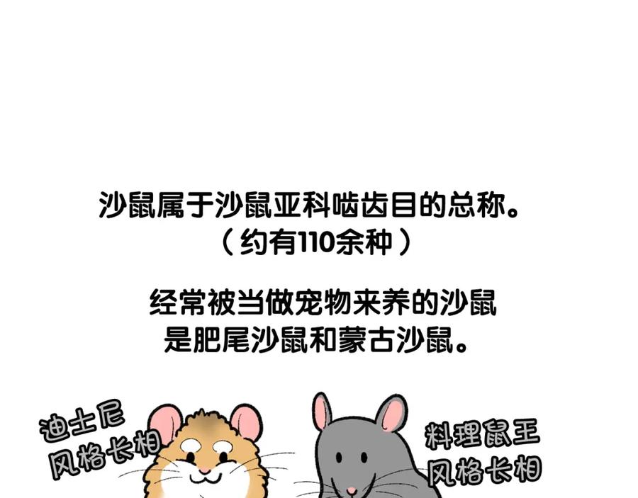 《我的狗子叫棉花》番外4 是我大意了 第24页