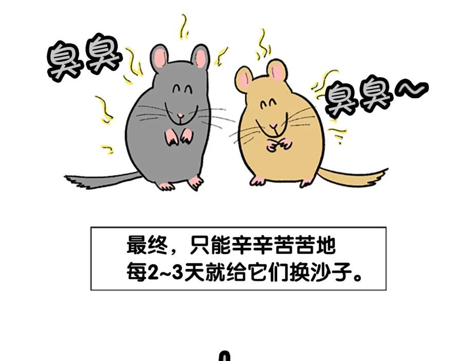 《我的狗子叫棉花》番外4 是我大意了 第48页