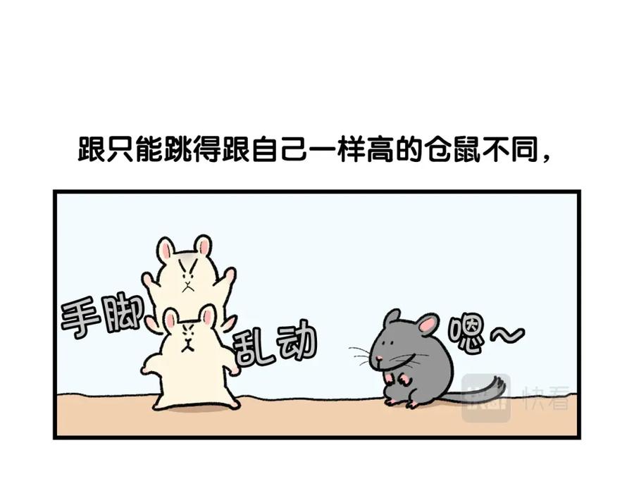《我的狗子叫棉花》番外4 是我大意了 第53页