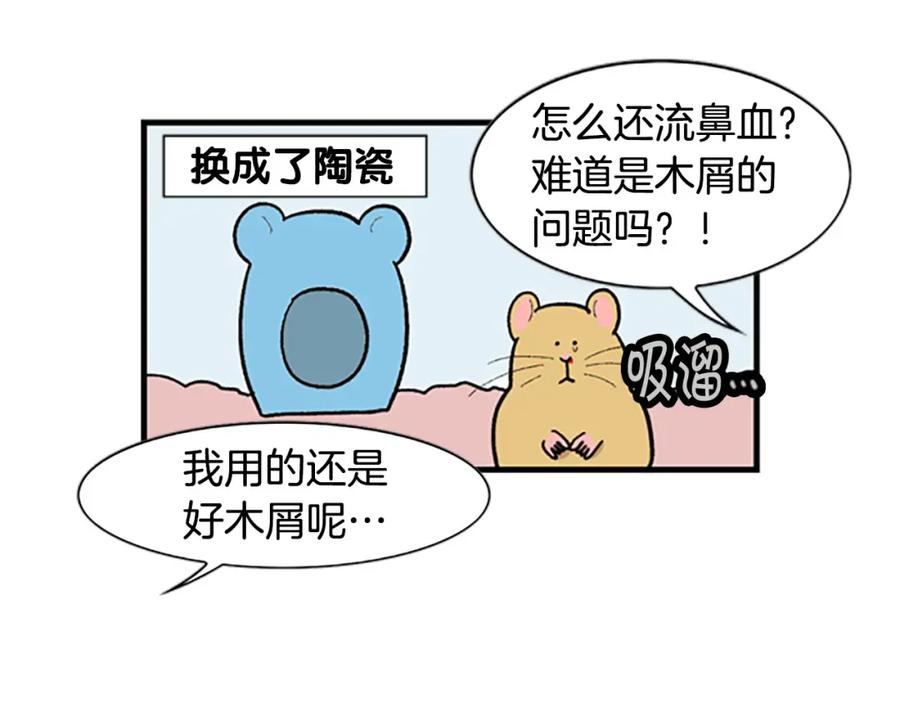 《我的狗子叫棉花》番外4 是我大意了 第44页