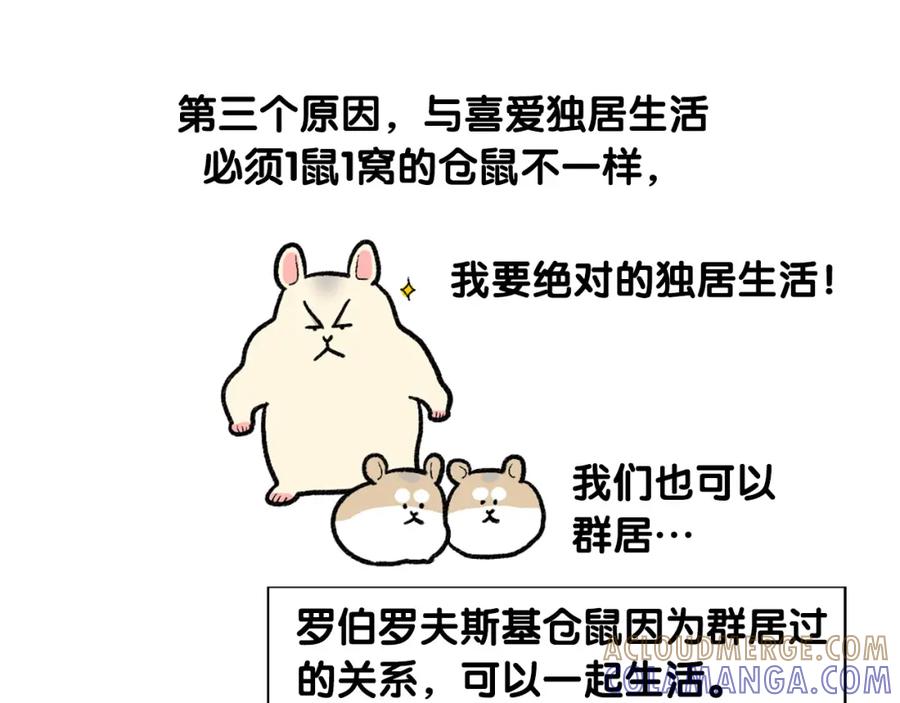 《我的狗子叫棉花》番外4 是我大意了 第31页