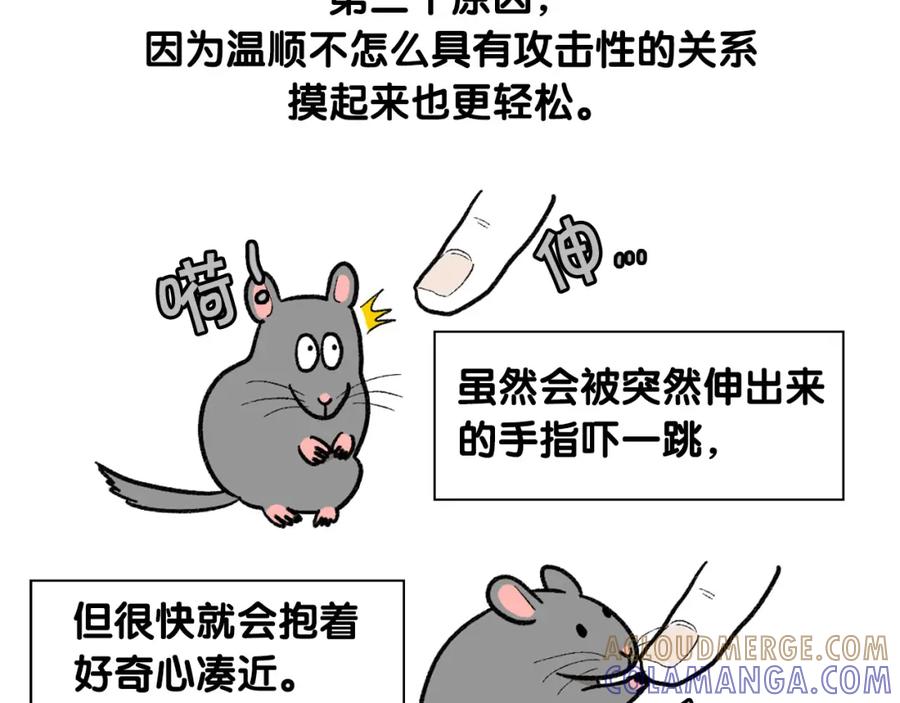 《我的狗子叫棉花》番外4 是我大意了 第28页
