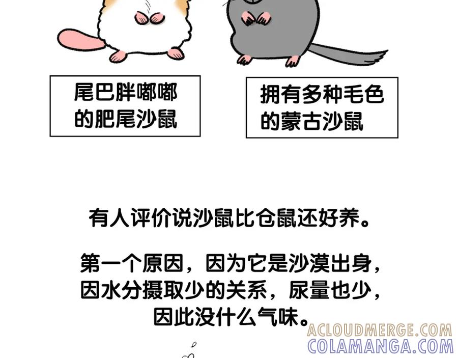 《我的狗子叫棉花》番外4 是我大意了 第25页