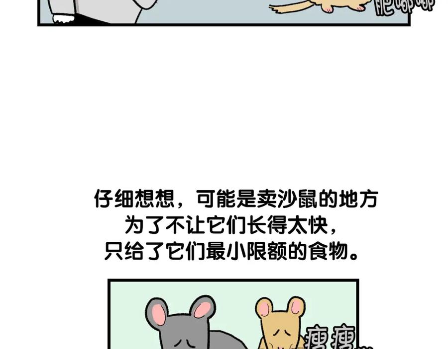 《我的狗子叫棉花》完结篇番外5 请勿随意弃养 第42页