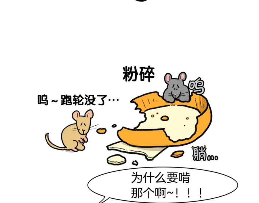 《我的狗子叫棉花》完结篇番外5 请勿随意弃养 第12页