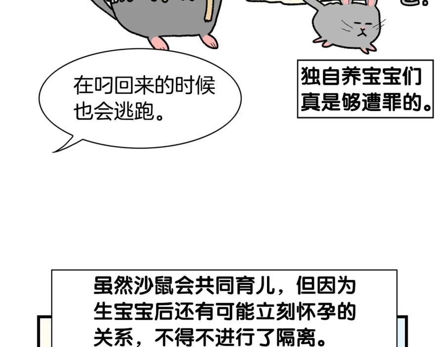 《我的狗子叫棉花》完结篇番外5 请勿随意弃养 第38页