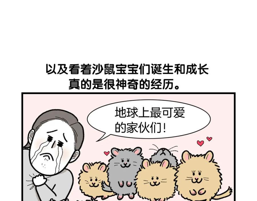 《我的狗子叫棉花》完结篇番外5 请勿随意弃养 第54页