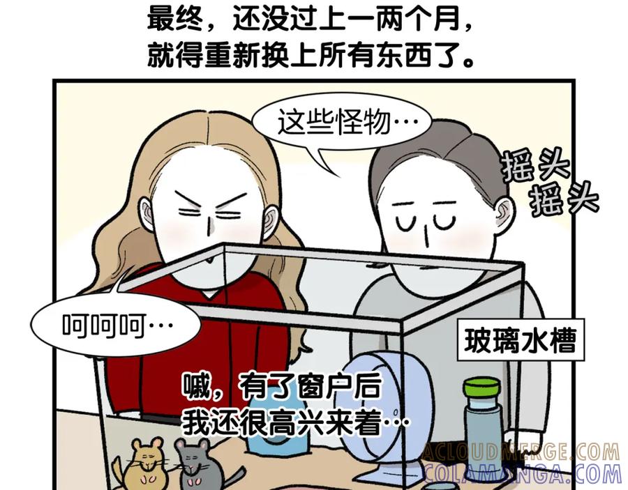 《我的狗子叫棉花》完结篇番外5 请勿随意弃养 第16页