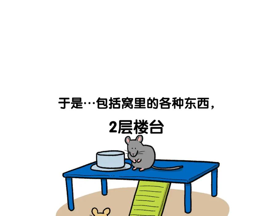 《我的狗子叫棉花》完结篇番外5 请勿随意弃养 第9页
