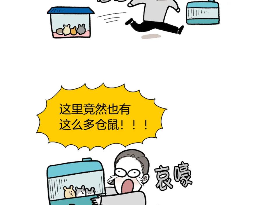 《我的狗子叫棉花》完结篇番外5 请勿随意弃养 第48页