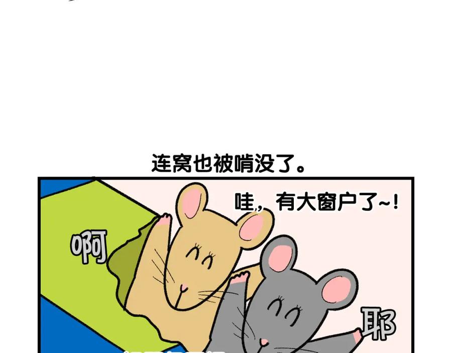 《我的狗子叫棉花》完结篇番外5 请勿随意弃养 第14页