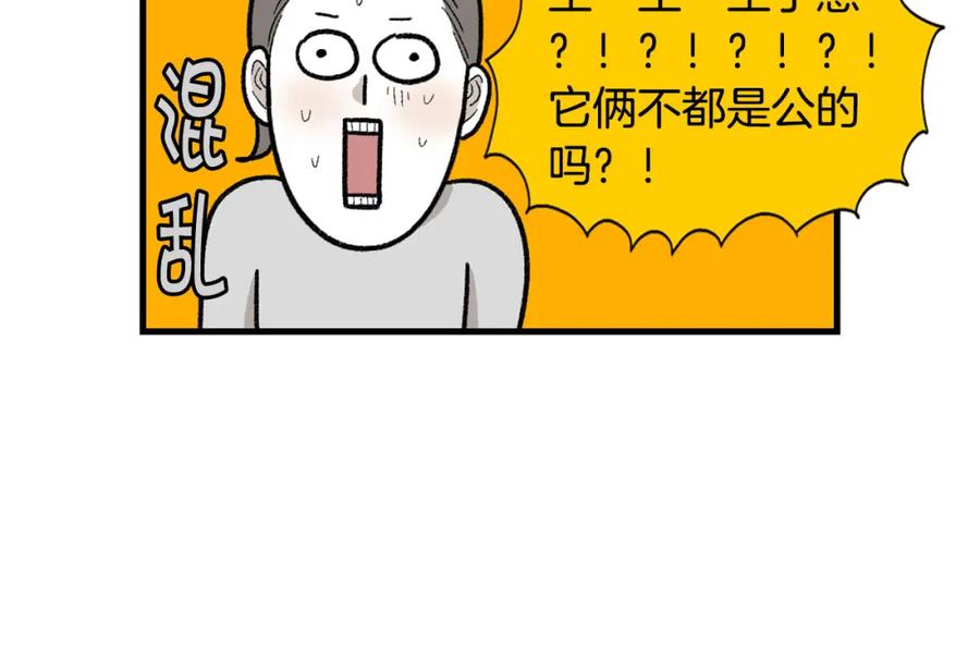《我的狗子叫棉花》完结篇番外5 请勿随意弃养 第29页
