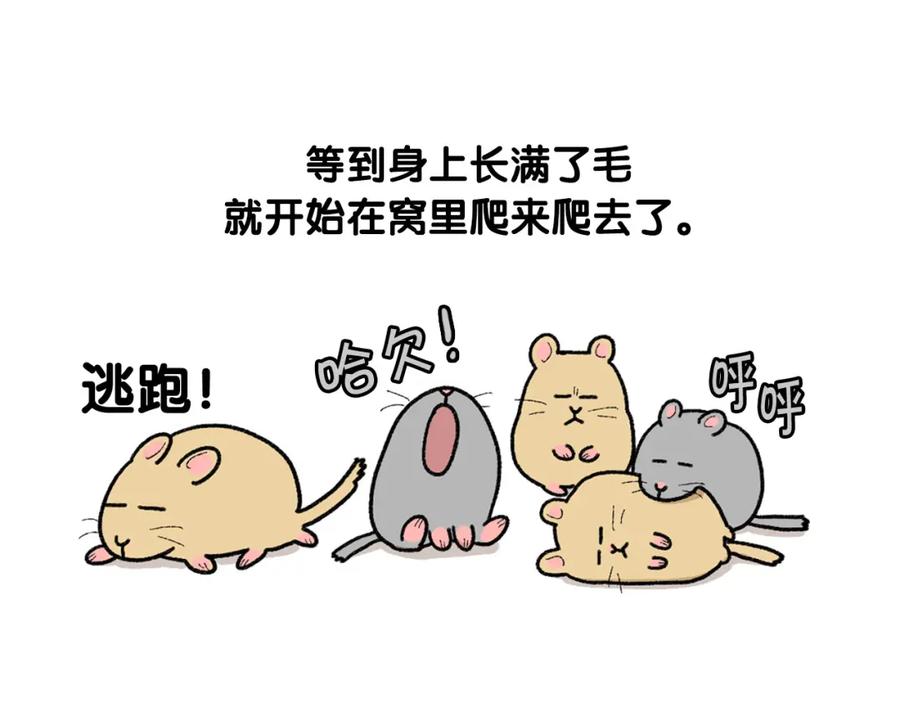 《我的狗子叫棉花》完结篇番外5 请勿随意弃养 第36页