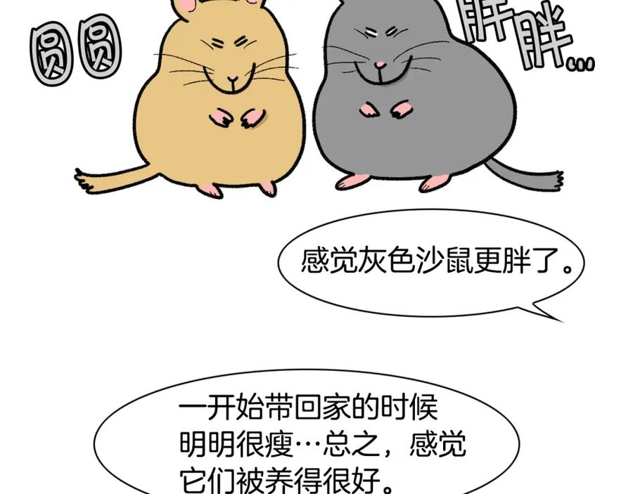 《我的狗子叫棉花》完结篇番外5 请勿随意弃养 第20页