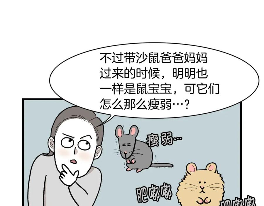 《我的狗子叫棉花》完结篇番外5 请勿随意弃养 第41页