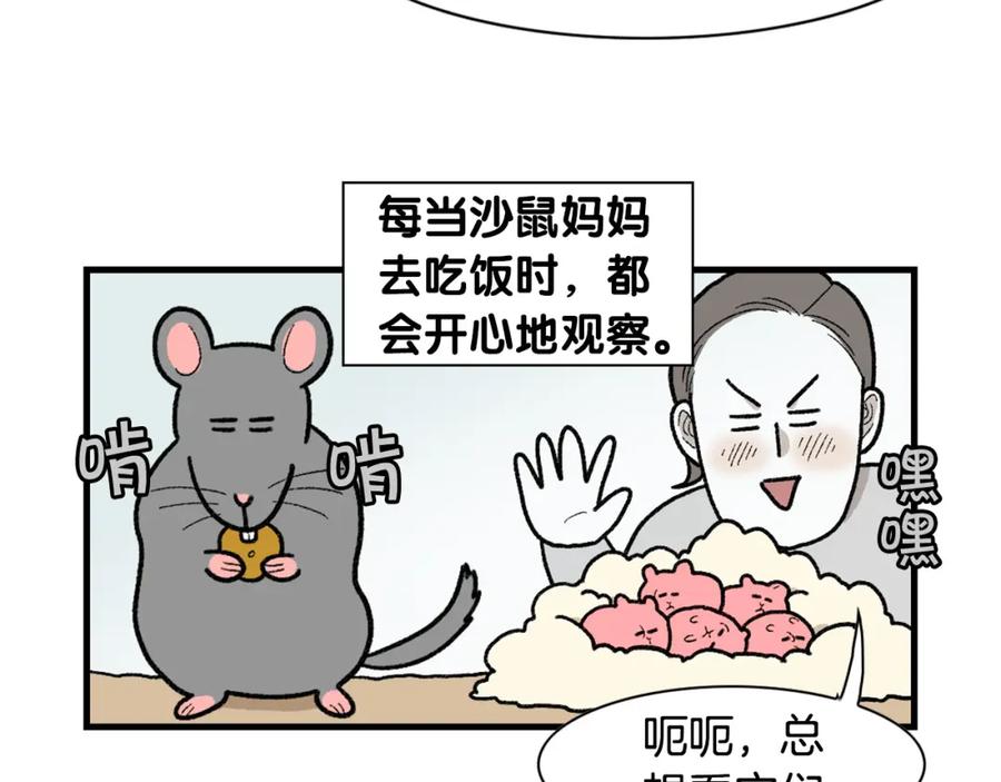 《我的狗子叫棉花》完结篇番外5 请勿随意弃养 第33页