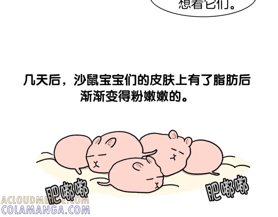 《我的狗子叫棉花》完结篇番外5 请勿随意弃养 第34页