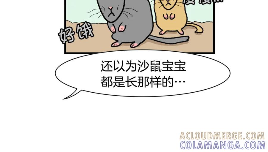 《我的狗子叫棉花》完结篇番外5 请勿随意弃养 第43页