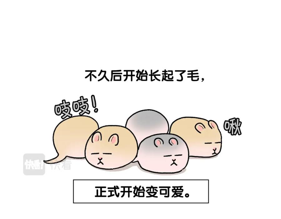 《我的狗子叫棉花》完结篇番外5 请勿随意弃养 第35页