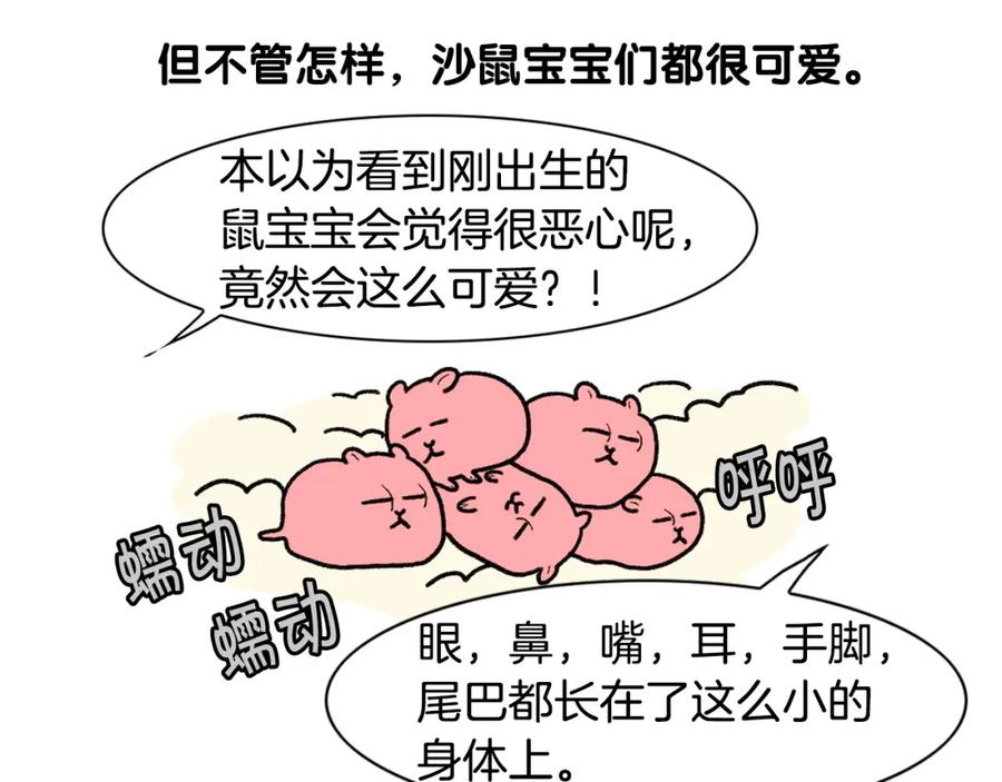 《我的狗子叫棉花》完结篇番外5 请勿随意弃养 第32页