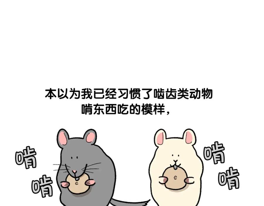 《我的狗子叫棉花》完结篇番外5 请勿随意弃养 第5页