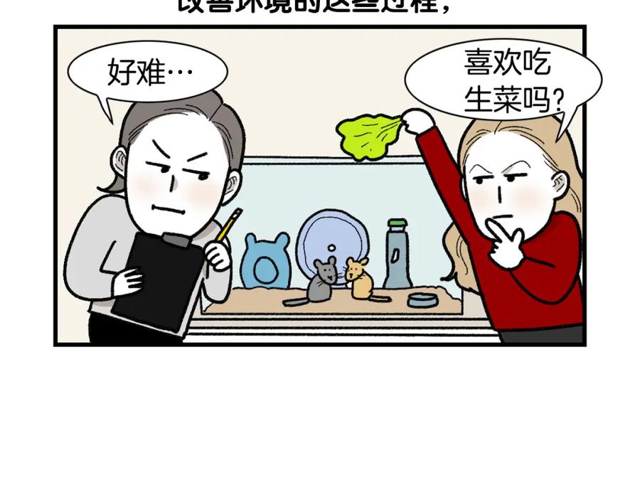 《我的狗子叫棉花》完结篇番外5 请勿随意弃养 第53页