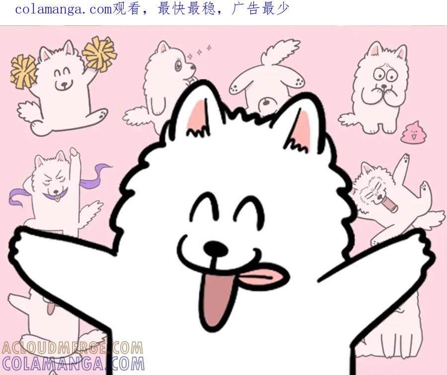 《我的狗子叫棉花》完结篇番外5 请勿随意弃养 第1页