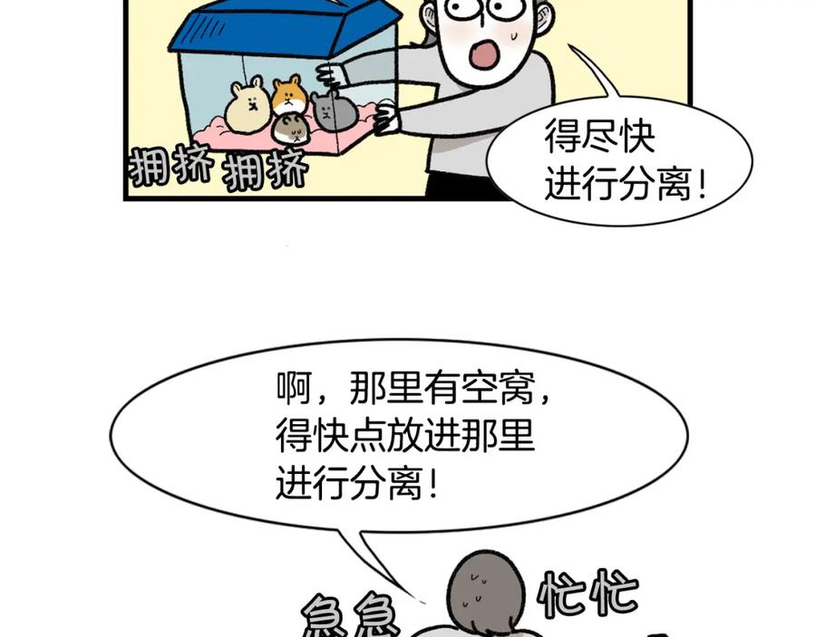 《我的狗子叫棉花》完结篇番外5 请勿随意弃养 第47页