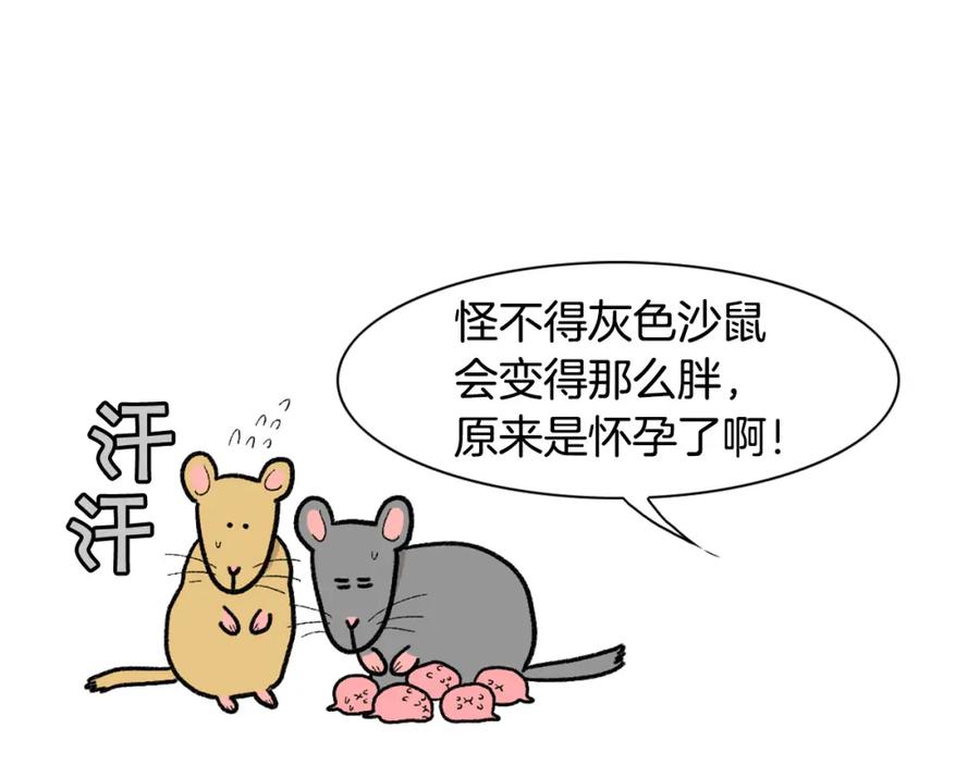 《我的狗子叫棉花》完结篇番外5 请勿随意弃养 第30页