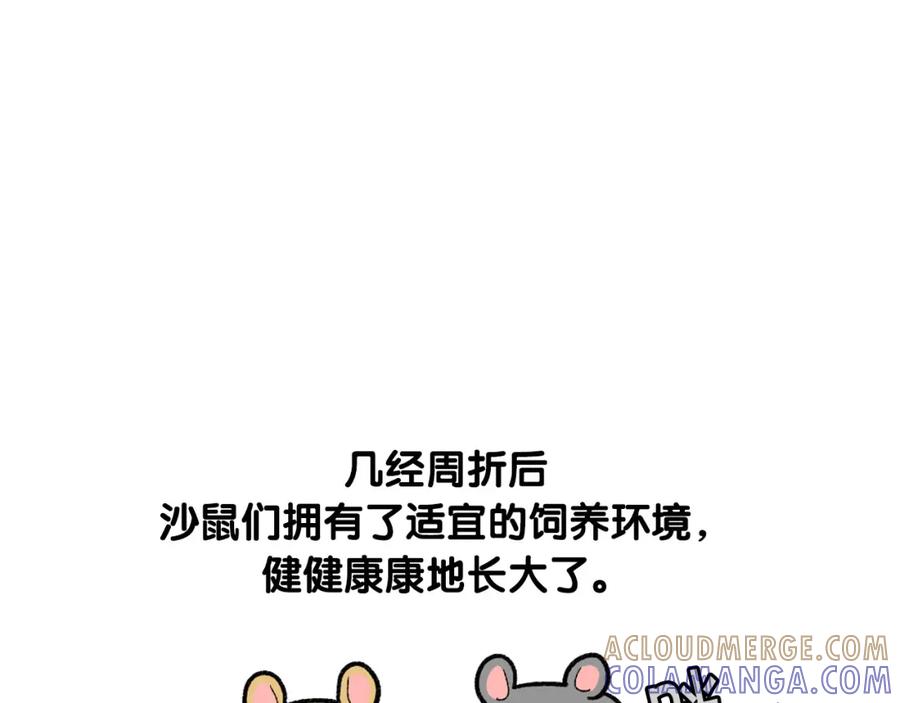 《我的狗子叫棉花》完结篇番外5 请勿随意弃养 第19页